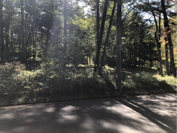 茅野市豊平、土地の画像です