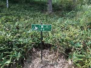 茅野市豊平、土地の画像です