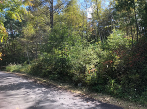 茅野市豊平、土地の画像です