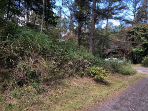 茅野市豊平、土地の画像です