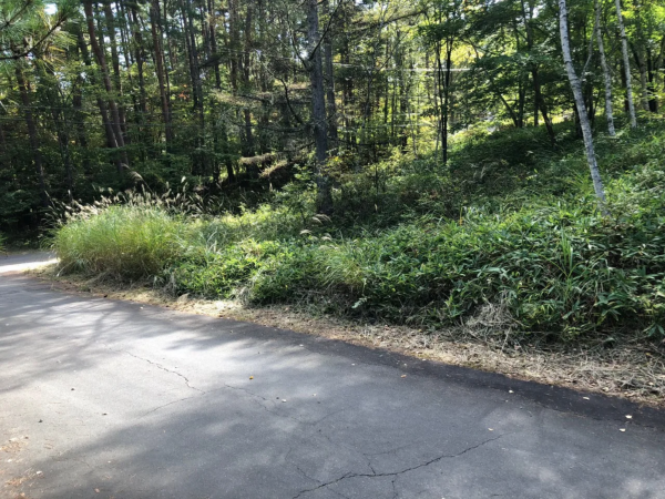 茅野市豊平、土地の画像です