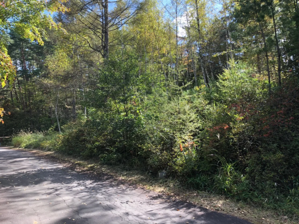 茅野市豊平、土地の画像です