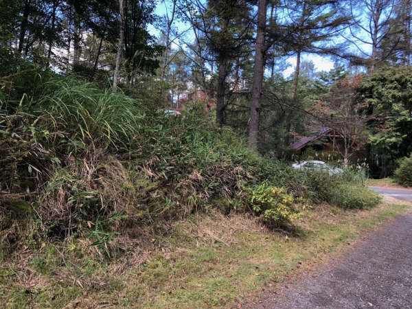 茅野市豊平、土地の画像です