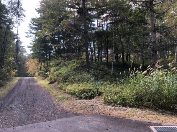 茅野市豊平、土地の画像です