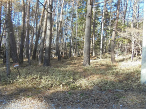 茅野市玉川、土地の画像です