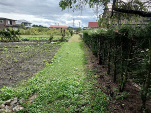 茅野市湖東、土地の画像です