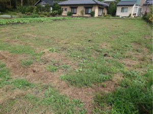 茅野市湖東、土地の画像です