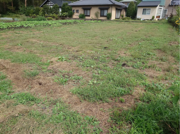 茅野市湖東、土地の画像です