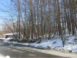 諏訪郡原村、土地の画像です