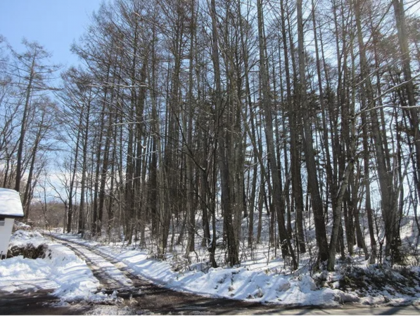 諏訪郡原村、土地の画像です