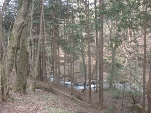 茅野市金沢、土地の画像です