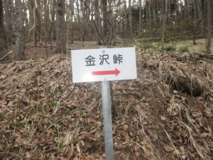 茅野市金沢、土地の画像です