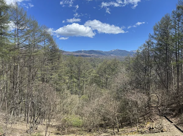茅野市北山、マンションの画像です