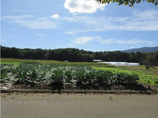 諏訪郡原村、土地の画像です