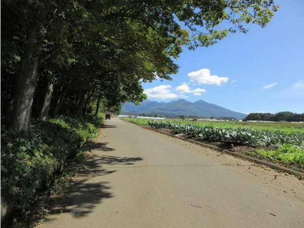 諏訪郡原村、土地の画像です