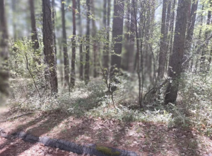 諏訪郡富士見町立沢、土地の画像です