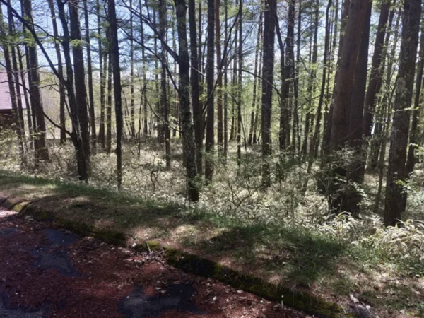 諏訪郡富士見町立沢、土地の画像です