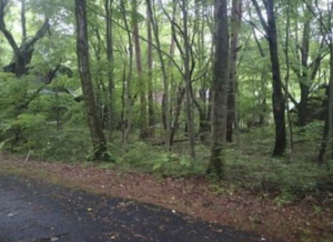 諏訪郡富士見町境、土地の画像です