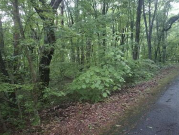 諏訪郡富士見町境、土地の画像です