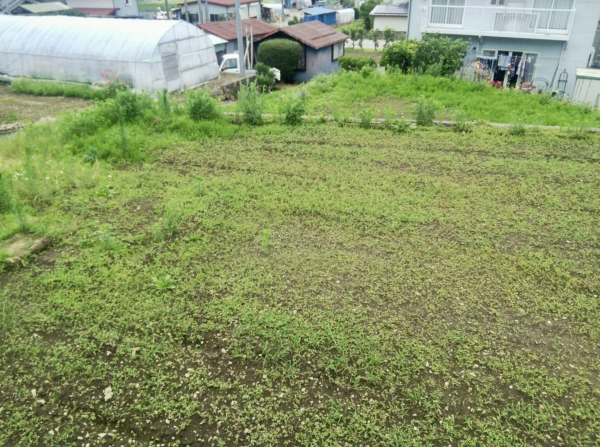 諏訪市、土地の画像です