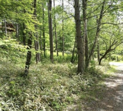 茅野市玉川、土地の画像です