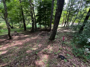 諏訪郡富士見町立沢、土地の画像です