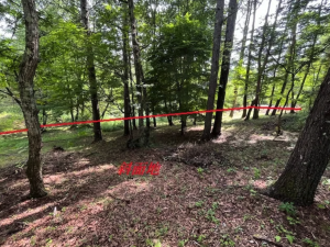 諏訪郡富士見町立沢、土地の画像です