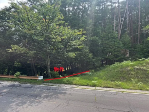 諏訪郡富士見町立沢、土地の画像です