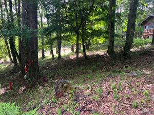 諏訪郡富士見町立沢、土地の画像です