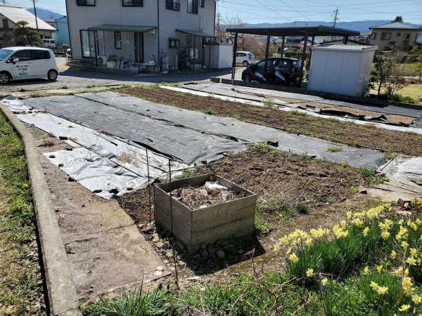諏訪郡下諏訪町大門、土地の画像です
