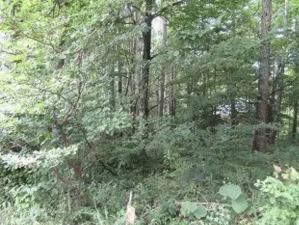 諏訪郡富士見町境、土地の画像です