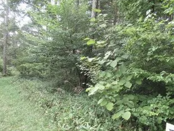 諏訪郡富士見町境、土地の画像です