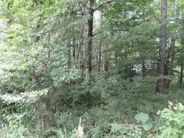 諏訪郡富士見町境、土地の画像です