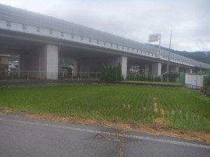 諏訪市、土地の画像です