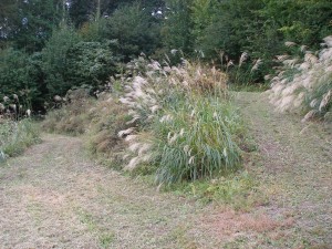 諏訪郡富士見町富士見、土地の画像です