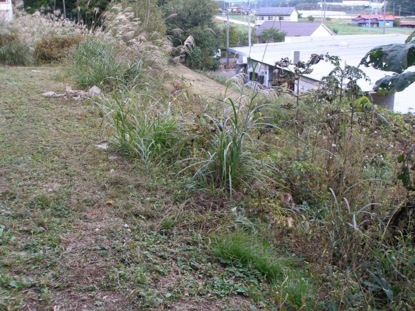 諏訪郡富士見町富士見、土地の画像です