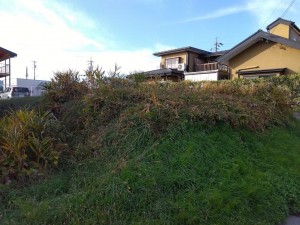 諏訪郡下諏訪町、土地の画像です