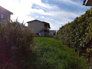 諏訪郡下諏訪町、土地の画像です