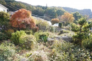 諏訪市、中古一戸建ての画像です