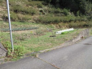 諏訪郡下諏訪町、土地の画像です