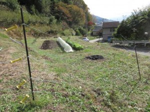 諏訪郡下諏訪町、土地の画像です