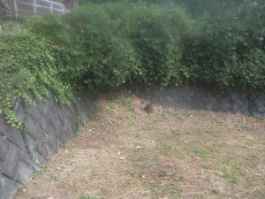 諏訪市、土地の画像です