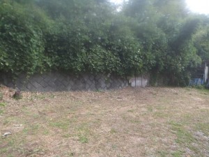 諏訪市、土地の画像です