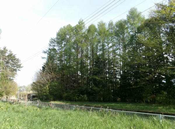 茅野市米沢、土地の画像です