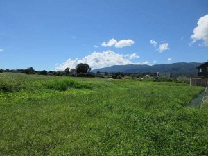 茅野市玉川、土地の画像です