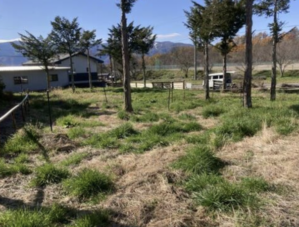 諏訪郡富士見町立沢、土地の画像です