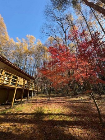 諏訪郡富士見町境、中古一戸建ての外観画像です