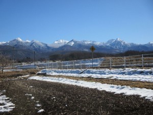 茅野市湖東、土地の画像です
