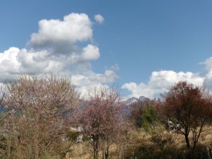 茅野市北山、土地の画像です