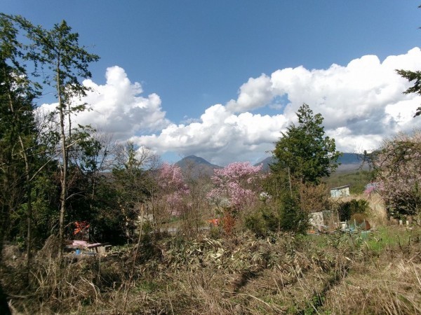 茅野市北山、土地の画像です